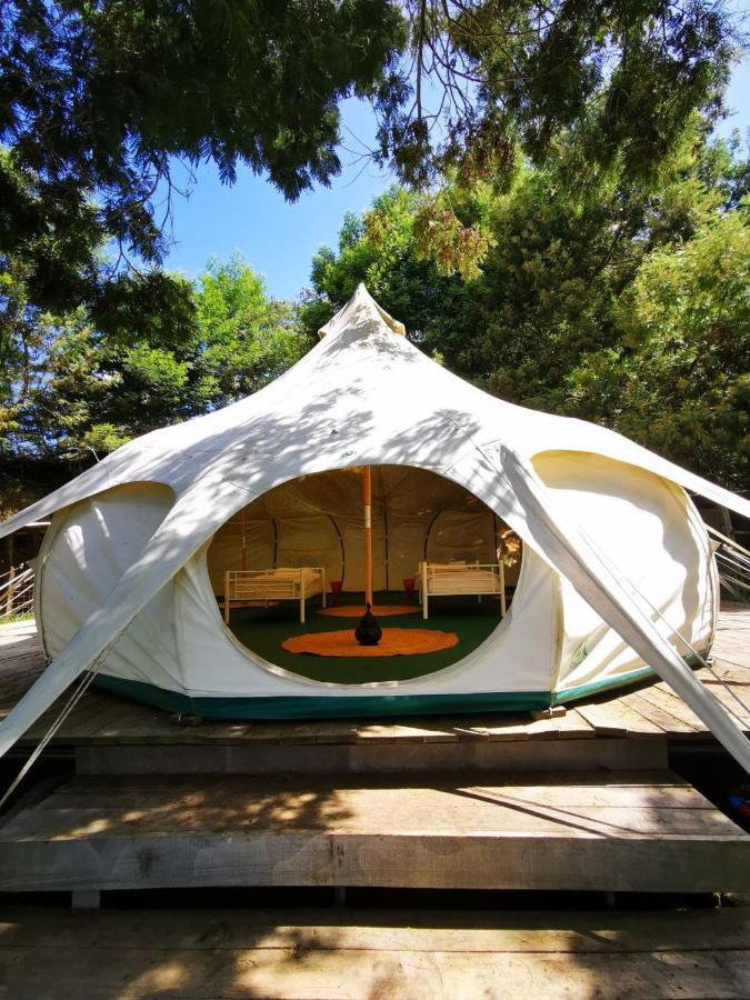 Arambha Ecovillage Farmstay Tabua  Dış mekan fotoğraf