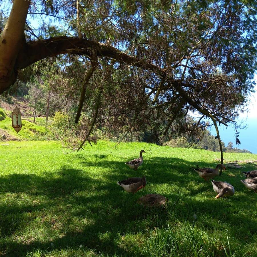 Arambha Ecovillage Farmstay Tabua  Dış mekan fotoğraf