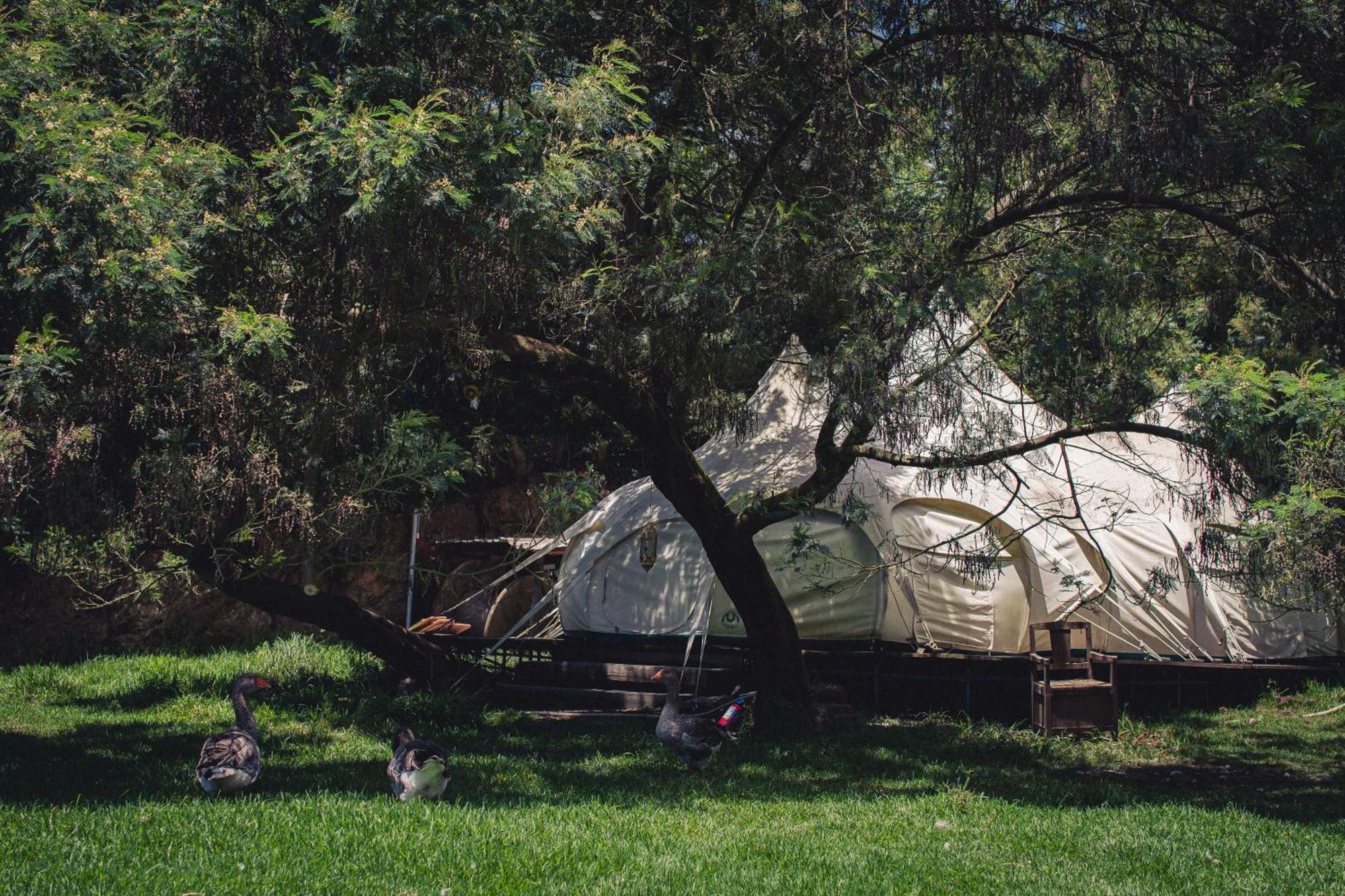 Arambha Ecovillage Farmstay Tabua  Dış mekan fotoğraf