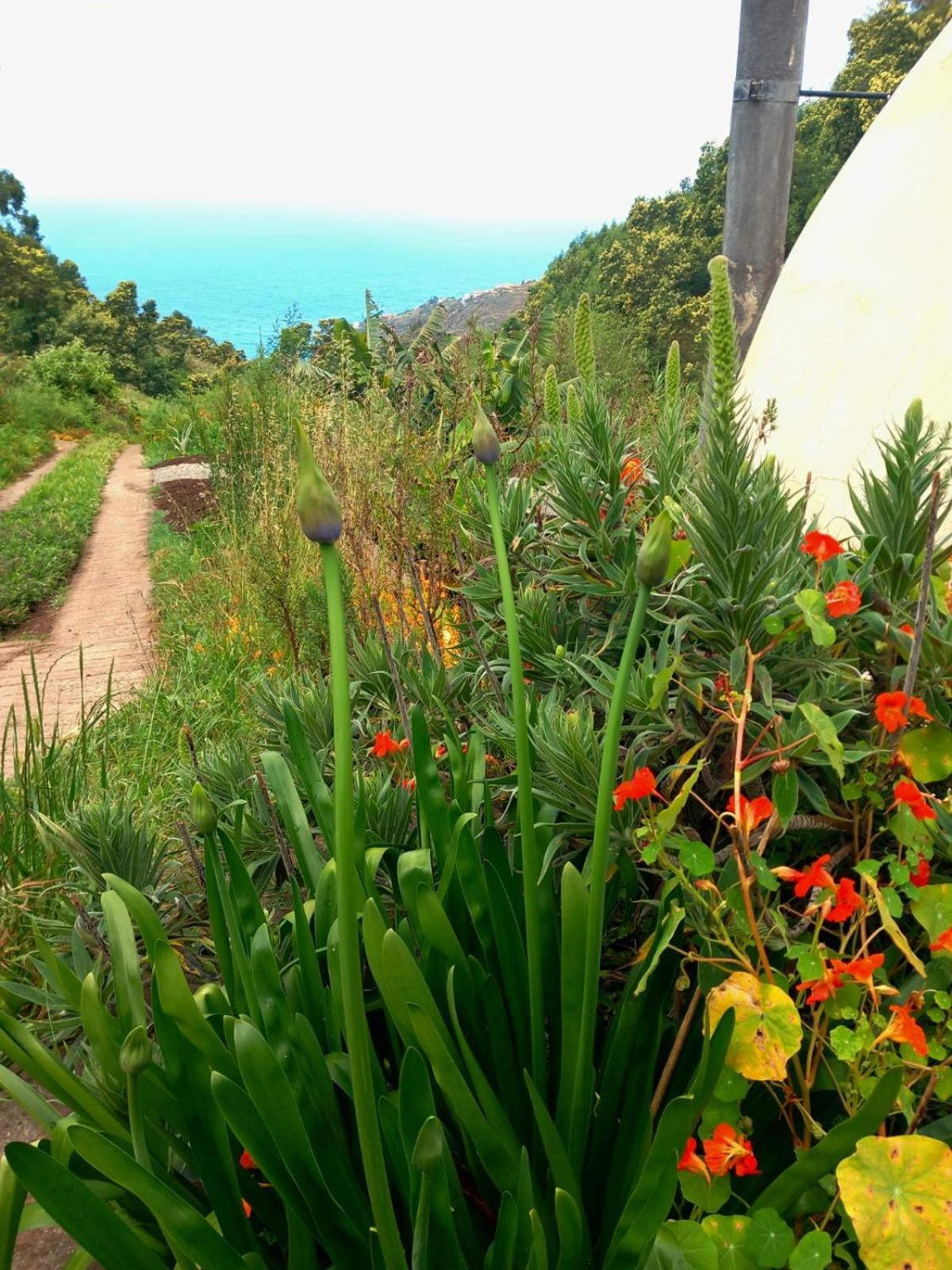 Arambha Ecovillage Farmstay Tabua  Dış mekan fotoğraf