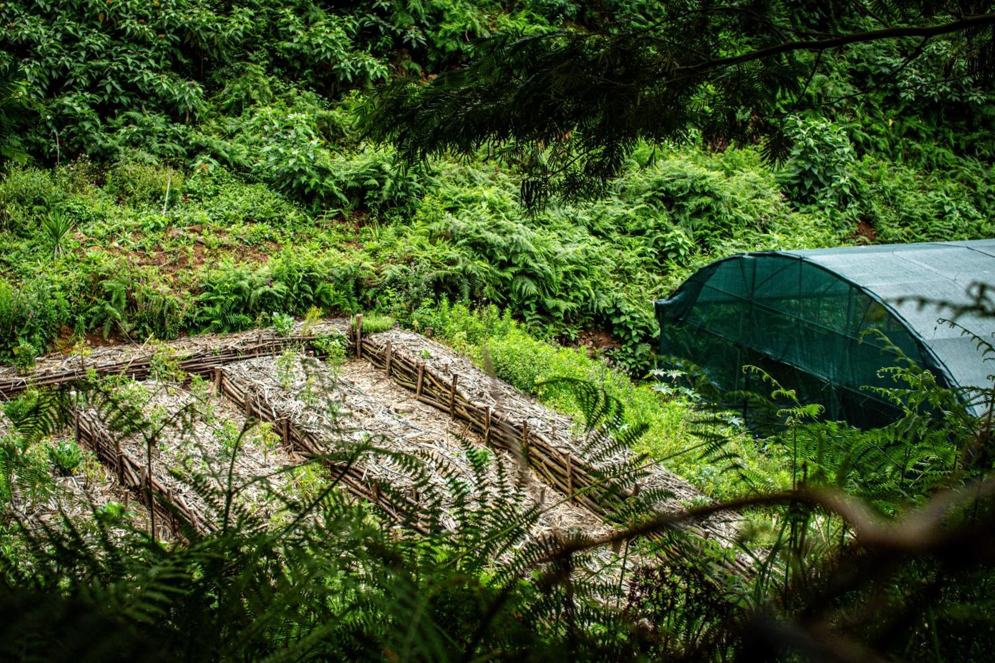 Arambha Ecovillage Farmstay Tabua  Dış mekan fotoğraf